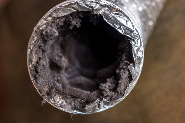 Best Air Duct Cleaning Near Me  in Brookfield, NJ