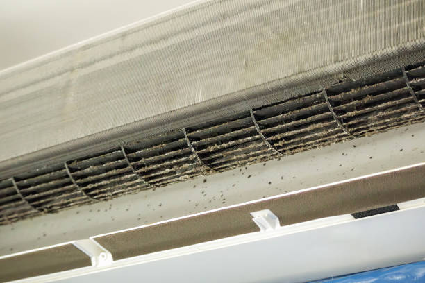 Best Air Duct Cleaning Company Near Me  in Brookfield, NJ